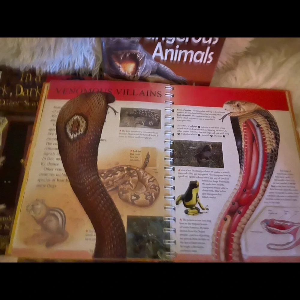 Book bundle - Picture 2 of 9